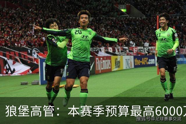 狼堡高管：本赛季预算最高6000万欧，力争完成在德乙的目标